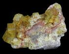 Lustrous, Yellow Cubic Fluorite Crystals - Morocco #32305-1